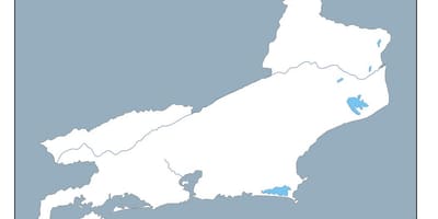 Mapa de Río de Janeiro vector